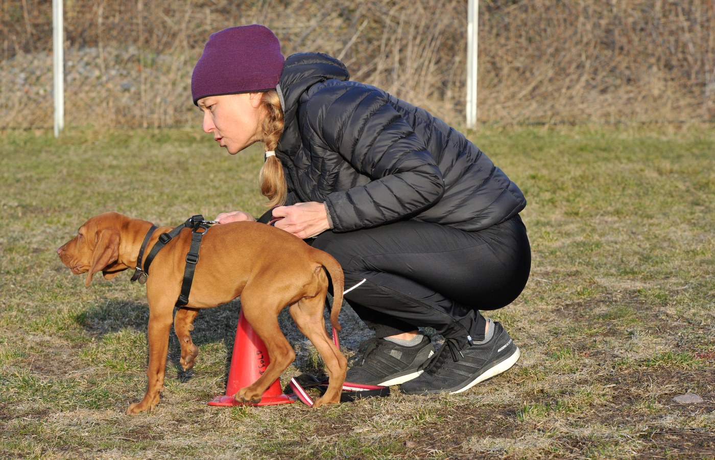 Hundeeier på kne ved siden av ung hund på treningsfeltet