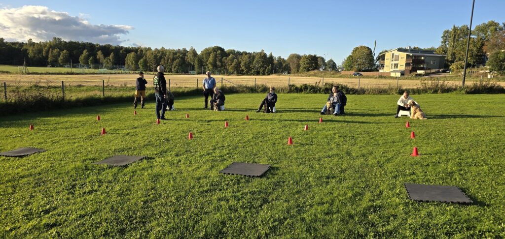 Kursgruppe trener basisferdigheter på treningsfeltet i Ulvika ved Tønsberg