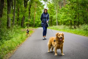 Målet med trening på slakk line er en hund som velger å holde kontakten og følge ditt tempo.