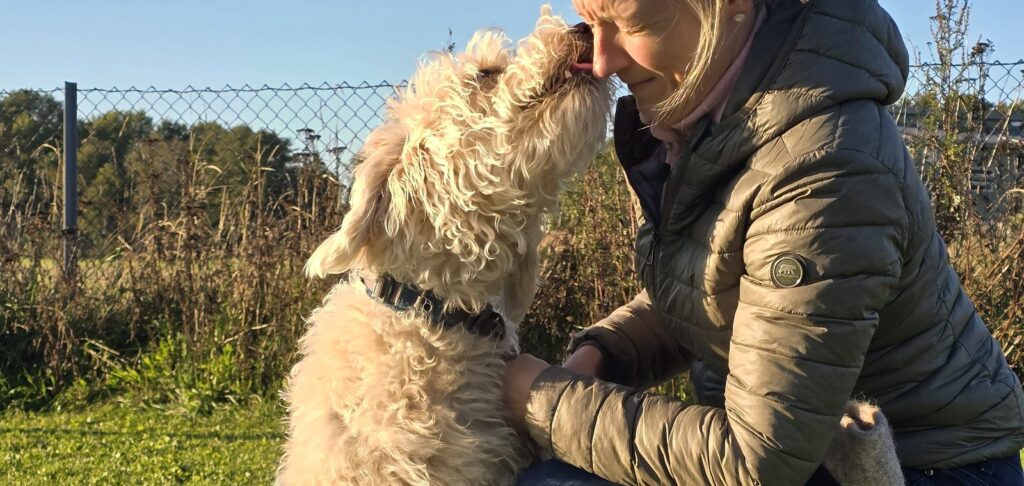 Fører sitter på huk og håndterer hunden rolig på treningsfeltet i Ulvika