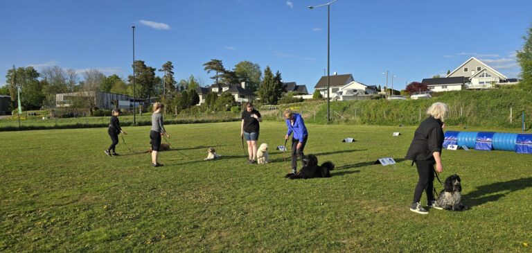 Rallylydighetsgruppe i arbeid på treningsfeltet i Ulvika ved Tønsberg