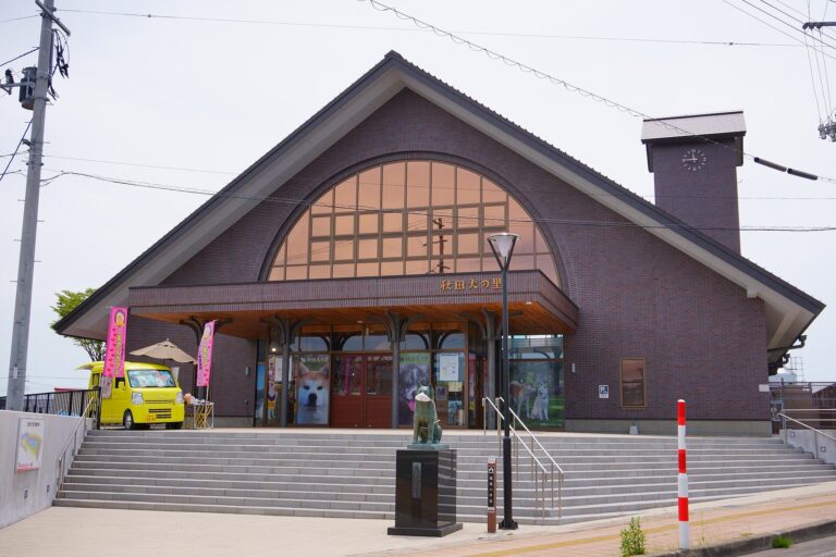 Akita