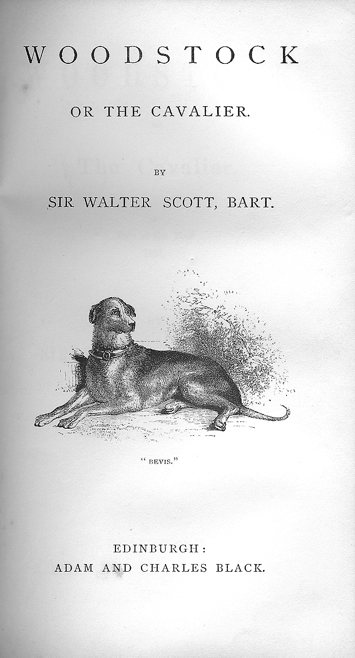 Landseer