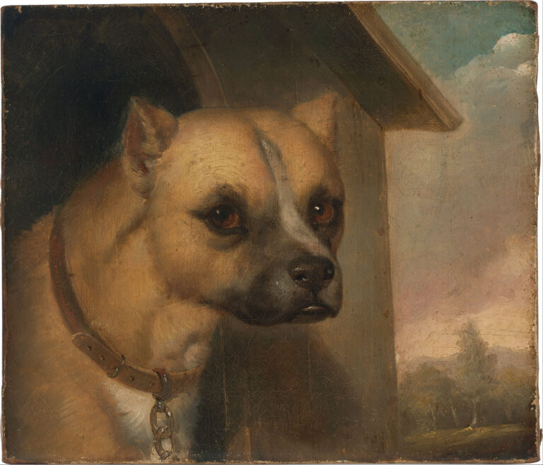 Staffordshire bull terrier