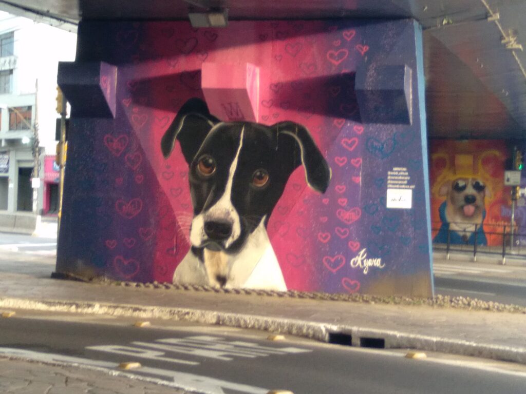 Terrier brasileiro