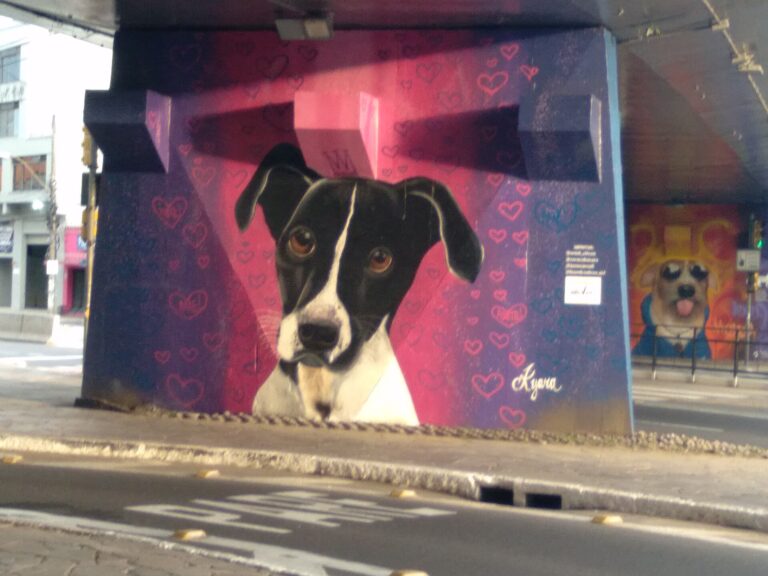 Terrier brasileiro